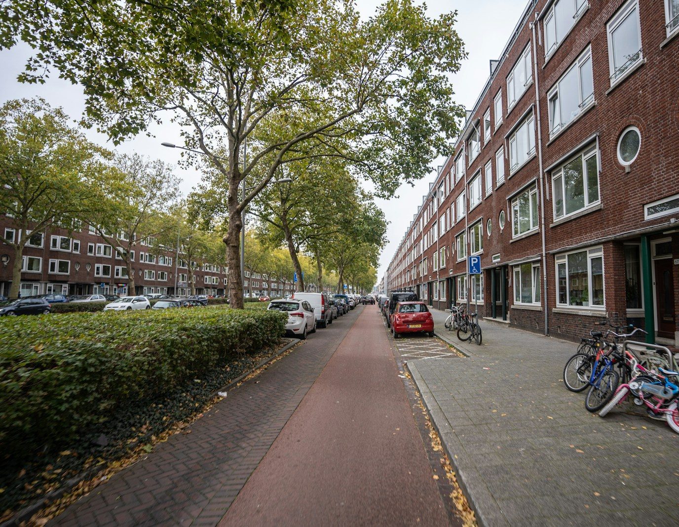 a row of bicycles parked on the side of a street